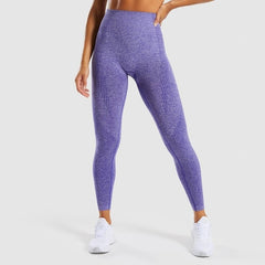 Fitness Leggings Gym Clothing