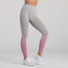 Gym Seamless Stretchy Leggings