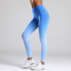 Gym Seamless Stretchy Leggings