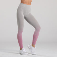 Gym Seamless Stretchy Leggings